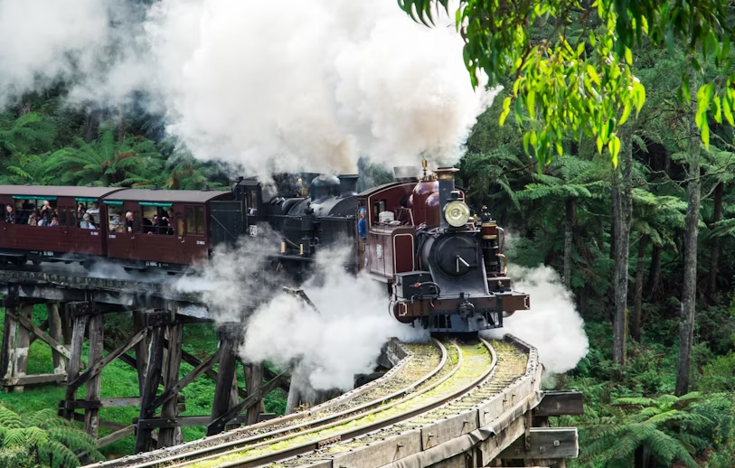 Puffing Billy and Healesville Sanctuary scenic bus tour - Image 4